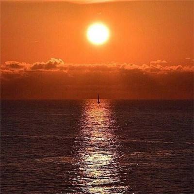 乐鱼体育APP下载安装截图