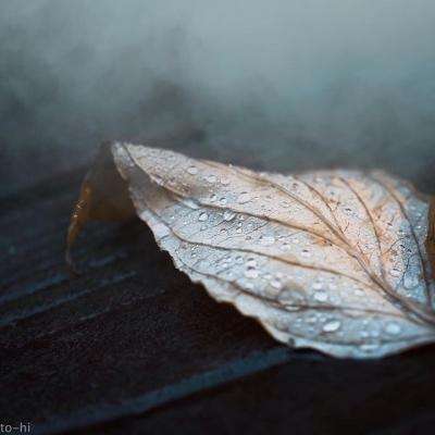 kok中欧登录入口