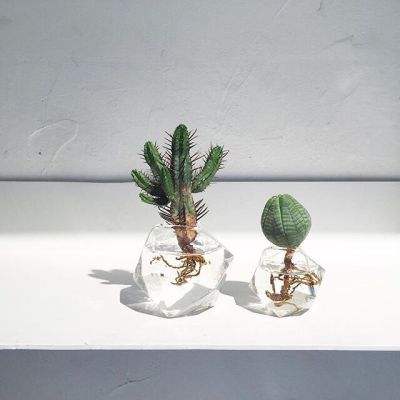 m6米乐网页版登录入口app下载截图